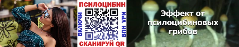 как найти shop Telegram Псилоцибиновые грибы Magic Shrooms Астрахань