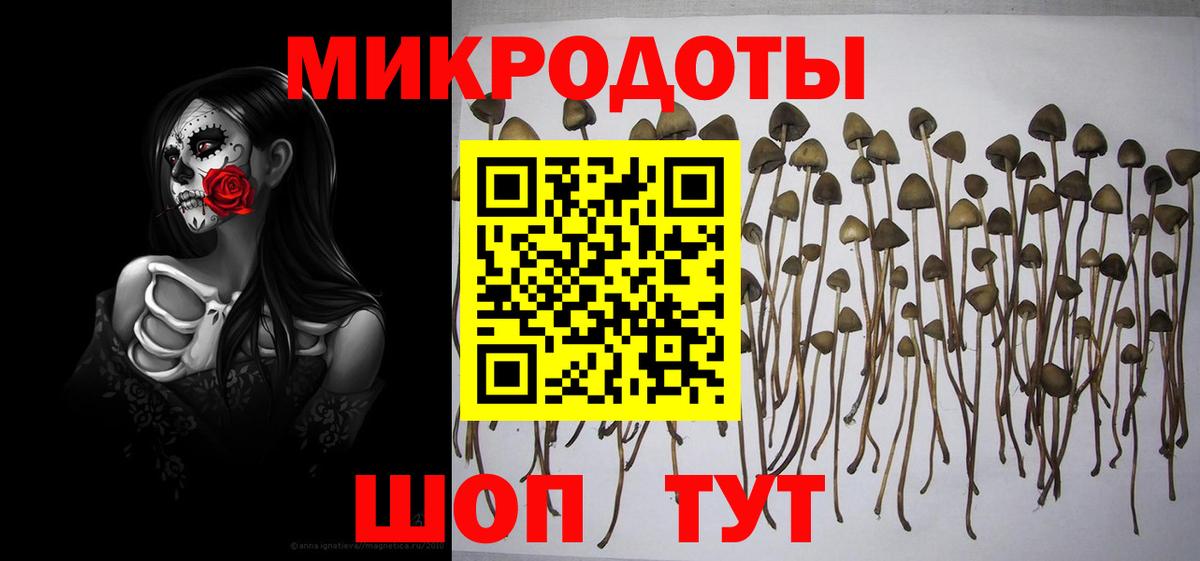 Псилоцибиновые грибы Magic Shrooms Астрахань